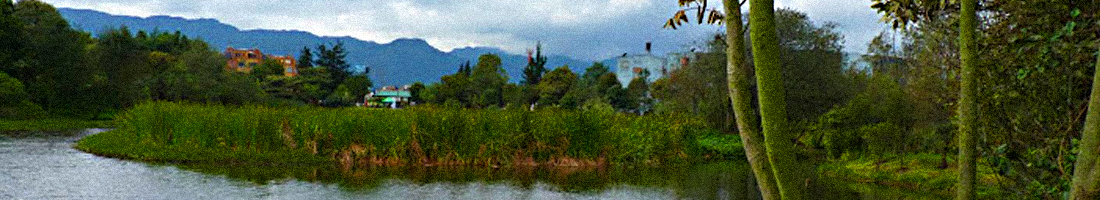 Fotografía panorámica del humedal Santa María del Lago