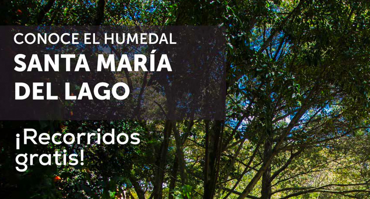 Conoce el humedal Santa María del Lago - ¡Recorridos gratis! - Foto de fondo de una parte del paisaje del humedal