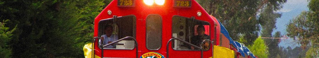 Foto primer plano del tren de la sabana en recorrido