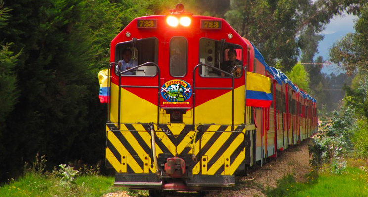 Foto frontal del tren de la sabana en recorrido