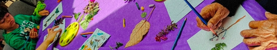 En la foto sobre una mesa de mantel violeta aparecen las manos de un adulto mayor ilustrando una rama de flores rojas y a la izquierda un niño de buzo verde dibujando una planta