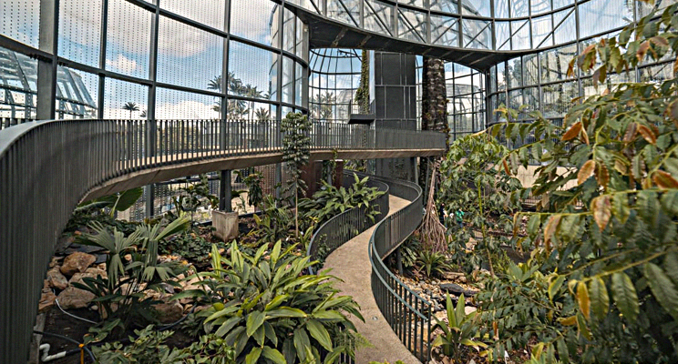 Fotografía del interior del Jardín Botánico de Bogotá