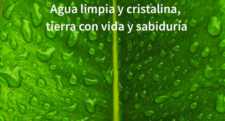 Foto de una hoja verde con gotas de agua y que en texto dice: Agua limpia y cristalina, tierra con vida y sabiduría