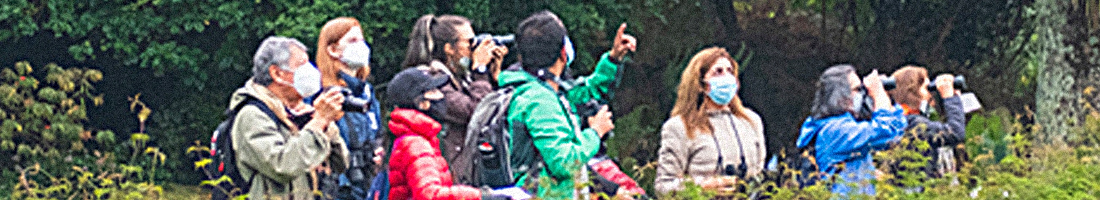 Fotografía de un grupo de personas en actividad de avistamiento de aves en el Jardín Botánico de Bogotá