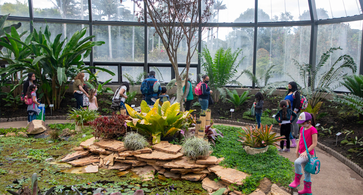 Foto de una parte interior del Jardín Botánico de Bogotá donde se encuentra un grupo de adultos, niñas y niños.