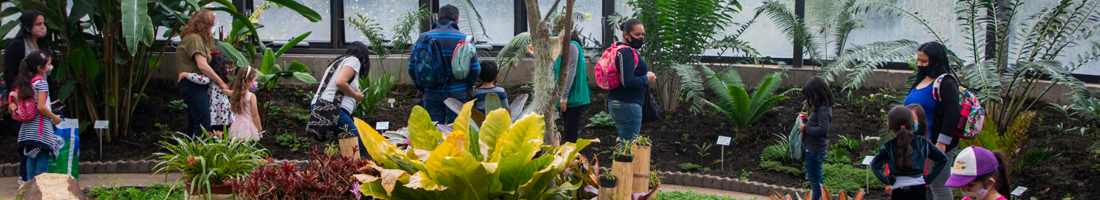 Familias disfrutando en el Jardín Botánico de Bogotá