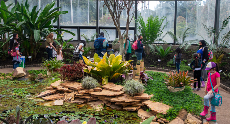 Familias disfrutando en el Jardín Botánico de Bogotá
