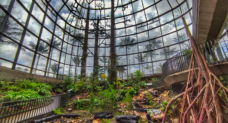 Naturaleza dentro del Jardín Botánico de Bogotá