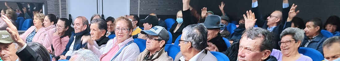 Personas mayores en reunión participando
