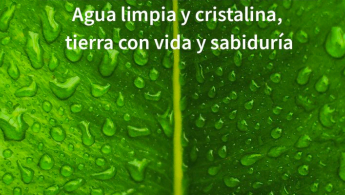 Foto de una hoja verde con gotas de agua y que en texto dice: Agua limpia y cristalina, tierra con vida y sabiduría